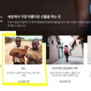 빨간 염소 이미지