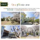 꽃내음풀내음해돋이유치원 이미지