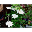 죽산중학교 이미지