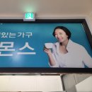까사미아;에몬스;아르마니가구 이미지