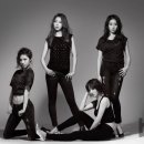 스텔라 이미지
