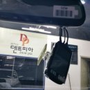 덴트피아