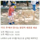 (주)기린투어 이미지