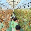 별바다하우스 이미지