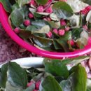 방주농원 이미지