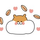 D5인테리어 이미지