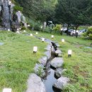 로히메르시 이미지