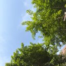 씨유(CU) 당산역한강점 | 서울 피크닉 추천 양화한강공원 데이트 분식 포장 꿀팁