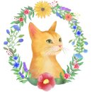 디지털드로잉 (기초) 이미지