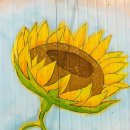 광암리 마을회관 이미지