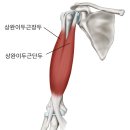 다온PT 이미지