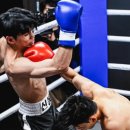 한국복싱진흥원복싱아카데미삼가점 네이버블로그