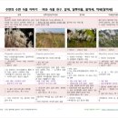 달뿌리집 네이버블로그