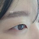 프롬휴2 | 논현역속눈썹펌 프롬미 자연스러운 속눈썹 펌 후기