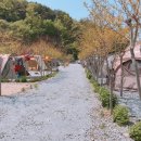 팔봉갯벌체험야영장 이미지