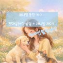 애니멀케어 | 애니멀 통합 케어 : 펫마음카드 상담 + 애니멀 레이키