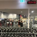 드라코짐 | ✈️ 드라코짐 용재선 트레이너의 호주 헬스장 투어 🇦🇺