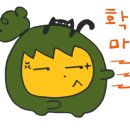 스마트 애견 이미지