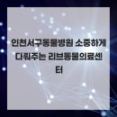 리브동물의료센터 | 인천서구동물병원 소중하게 다뤄주는 리브동물의료센터