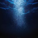 보더베어하우스 더뮤지컬