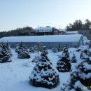 반달농장 이미지