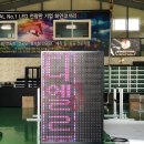 디엘르테라피