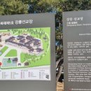 12월 29일 목요일 서울방 출석부 : 참 좋은 친구들~^^ 이미지