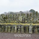 제주영상여행사 이미지