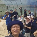 이재숙농장 이미지