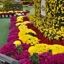 진미가푸드 이미지