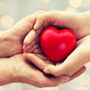 샬롯의 거미줄 뮤지컬 이미지