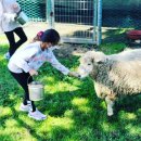 스포츠랜드 이미지