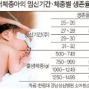 엄지종합광고 이미지