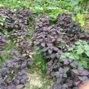 쉼마루민박 이미지