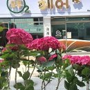 오투헤어샵 이미지
