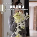 서울 웨딩 플래너 &amp; 부케 등 결혼준비 필독! 내카내결 케이트웨딩 후기!