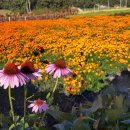 필암서원(외) 이미지