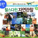 기린아 이미지