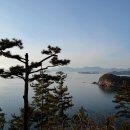 도산일주로 이미지