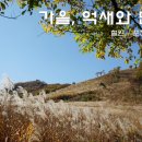 선도전기 | 명성산 삼각봉 등산 923m (2015.10.17) (100대 명산, 철원 명성산(울음산) 산안고개코스, 억새와 단풍을...