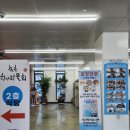 속초 해수욕장 근처 맛집 추천! 속초 항아리 물회 솔직 후기