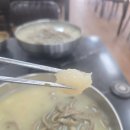 옹칼지네 이미지