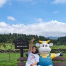 돈우목장 이미지