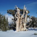 집에서 즐기는 카페, 홈바리스타 이미지