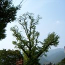 지리산고을 이미지