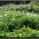 천북중학교 이미지