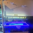 잠수부횟집2호점 이미지