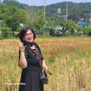 해피데이 이미지