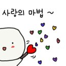 옐로지 이미지