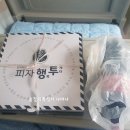 피자행투 이미지